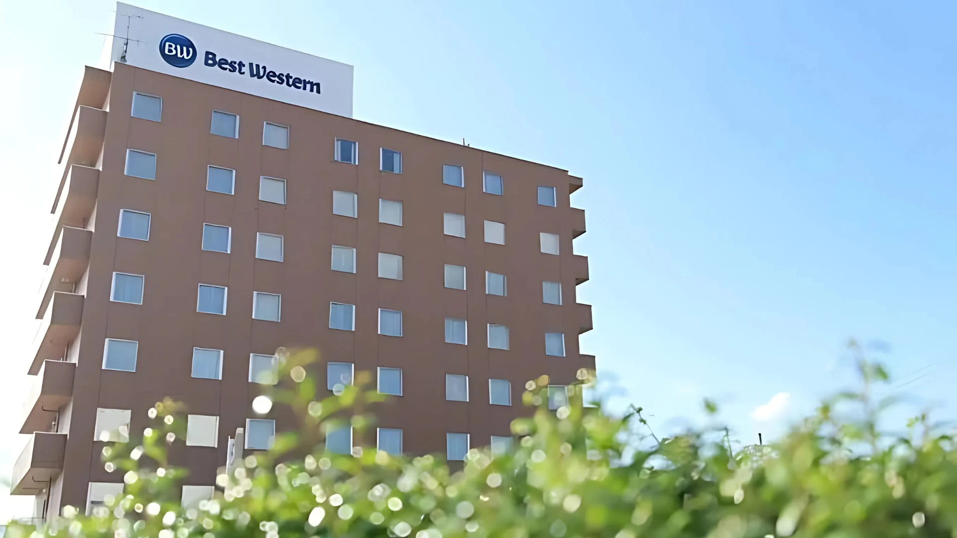 Best Western Bliss